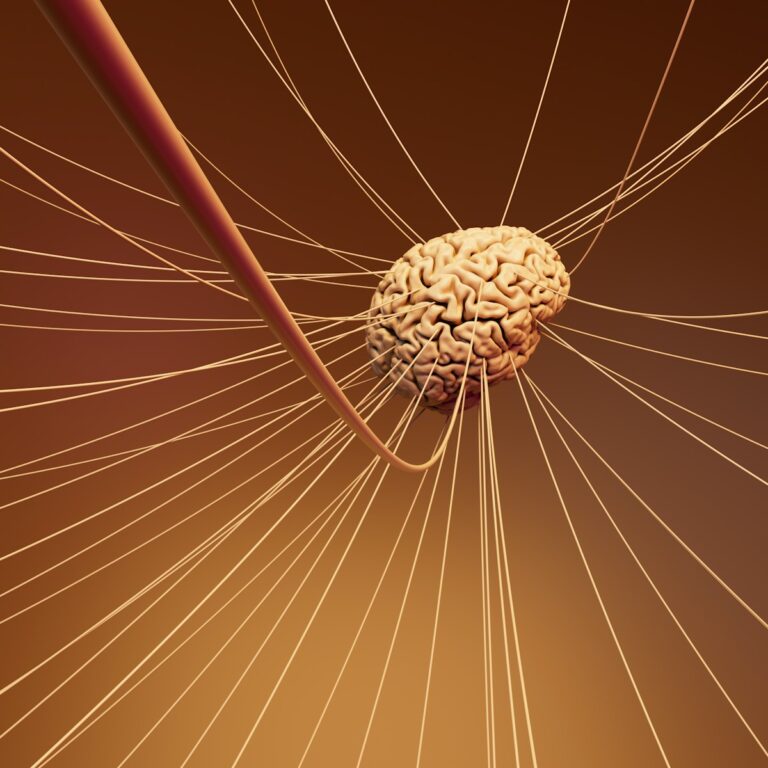 Polyneuropathien und sonstige Erkrankungen des peripheren Nervensystems A computer generated image of a human brain