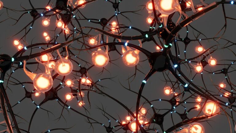 Störungen der Hirnnerven A bunch of lights that are on a tree