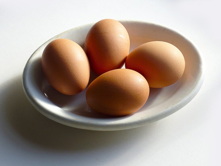 Salmonellenenteritis egg, chicken, food, white, healthy, table, cooking, meal, product, cuisine, pepper, side, yolk, lunch, protein, yellow, nutrition, fried, hot, cook, eat, pan, kitchen, omelet, diet, breakfast, fryer, frying, cholesterol, salmonella, warm, board, salt, dinner, crispy, delicious, cooked, snack, tasty, traditional, fresh, gastronomy, gourmet, appetizer, egg, protein, pan, omelet, cholesterol, cholesterol, cholesterol, salmonella, salmonella, salmonella, salmonella, salmonella