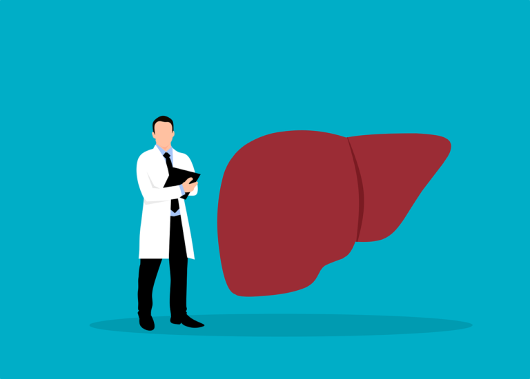 Chronische Hepatitis liver, internal medicine, doctor, healthcare, anatomy, health, medicine, liver, liver, liver, liver, liver