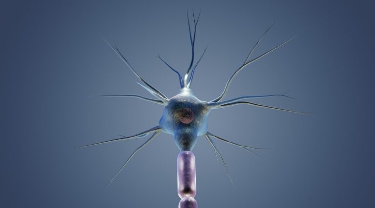 Typische virale Infektionen des zentralen Nervensystems neuron, cyton, dendrites, science, nerve, anatomy, biology, medical, neuron, neuron, neuron, neuron, neuron, nerve, nerve