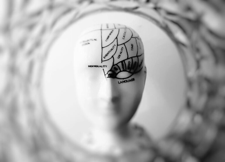 Demyelinisierende Erkrankungen des Zentralnervensystems Close-up black and white image of a phrenology head with brain sections labeled.