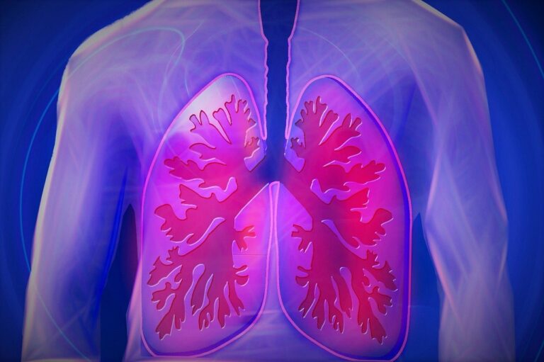upper body, lung, copd, disease, doctor, finding, medicine, health check, health, examination, heal, pension, ill, investigate, therapy, ultrasound, healthy, lung, lung, lung, lung, lung, copd, copd