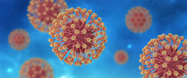 Disseminierte Herpesvirus-Krankheit