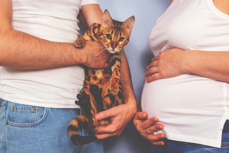 Toxoplasmosen mit Beteiligung sonstiger Organe