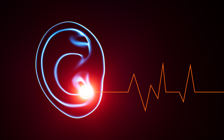 Hörverlust und Tinnitus