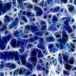 annoy, network, nervous system, management, connections, nerve plexus, brain, stimulus transmission control center, steering, neurons, synapse, signal, pulse, excitement, braid, nerve cord, anatomy, nervous system, nervous system, nervous system, nervous system, brain, brain, brain, brain, brain, neurons, neurons, neurons, synapse