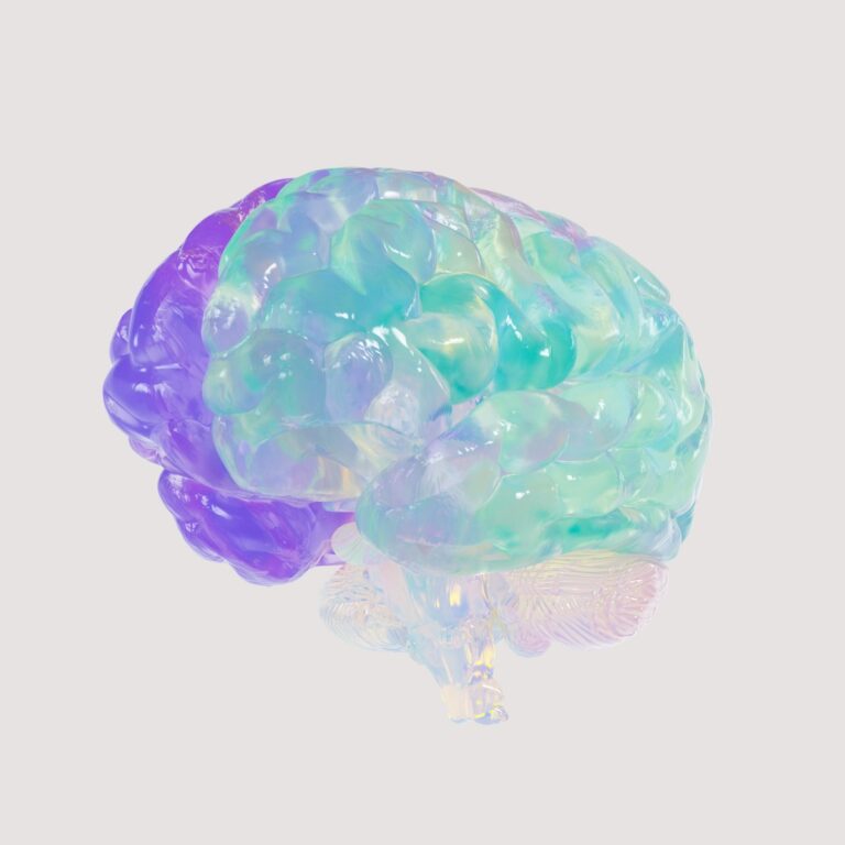 Sonstige Krankheiten des Gehirns a close up of a plastic model of a human brain