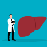 liver, internal medicine, doctor, healthcare, anatomy, health, medicine, liver, liver, liver, liver, liver