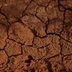 brown concrete brick wall during daytime