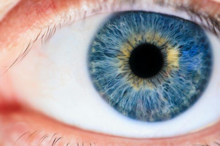 Chlamydienkonjunktivitis Detailed macro of a human eye showcasing the iris and pupil.