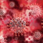coronavirus, virus, plasma, blood plasma, covid-19, infection, pathogens