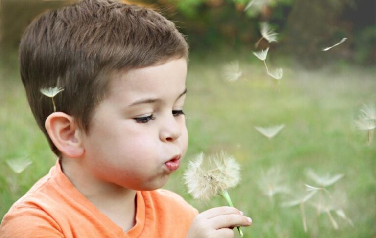 Mittelschwere geistige Behinderung A young boy blowing dandelion seeds in a sunny park, capturing innocence.