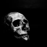 Moody black and white photo of a skull on a dark background.