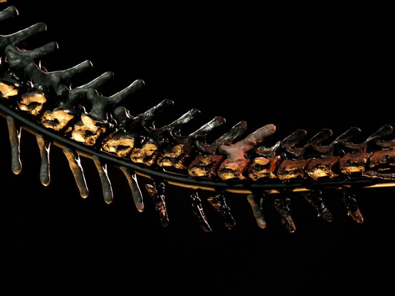 Manganmangel A skeleton of a fish on a black background